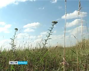 1130  ZEMLU SH NAZSNACHENUIA