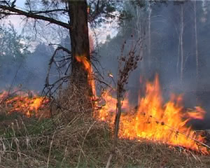 1430 OTVETSTVENNOST ZA POZHARY