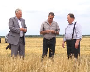 1940 GUBERNATOR V POLYAX