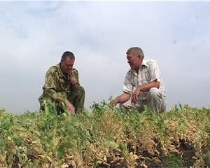 1940 UBORKA NACHALAS