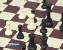 Банк Курган и шахматисты