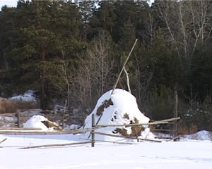 ZIMA
