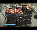 В Кургане уничтожили санкционные яблоки