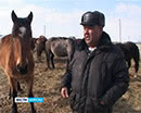 В Мишкинском районе семья фермеров налаживает производство сельхозпродукции