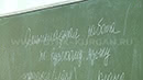 Курганские школьники сегодня пишут олимпиаду по русскому