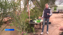 Студенты Курганского государственного университета вырастили свой ботанический сад