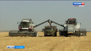 Объём сельхозпроизводства в Уральском федеральном округе вырос за минувший год вырос практически на 17 %