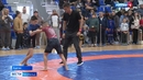 В Кургане состоялись чемпионат и первенство города по спортивной борьбе грэпплингу