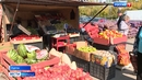 В Кургане начали работу сельскохозяйственные ярмарки «Дары осени»