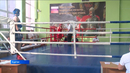 В Кургане состоялись чемпионат и первенство области по боксу