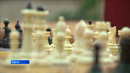 Курганский гамбит: шахматная партия в скверах и парках до конца не сыграна