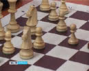 Шахматные сражения