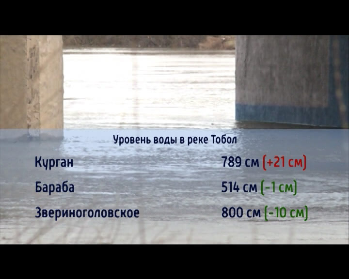 Уровень реки тобол город курган