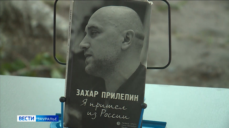 Поддержать писателя