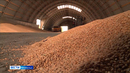 Зауральские аграрии вывезли в Китай и Казахстан 242 тысячи тонн пшеницы и ячменя