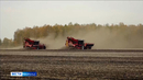 Уральские аграрии собрали урожай с 80-ти процентов площадей зерновых и зернобобовых