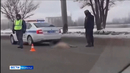 На проспекте маршала Голикова в Кургане водитель КАМАЗа сбил косулю, которая перебегала дорогу