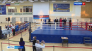 В Кургане стартовали областные соревнования по боксу
