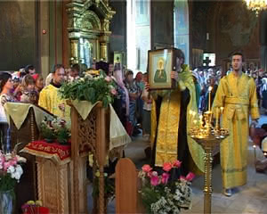1430_MOSCHI_PRIVEZLI