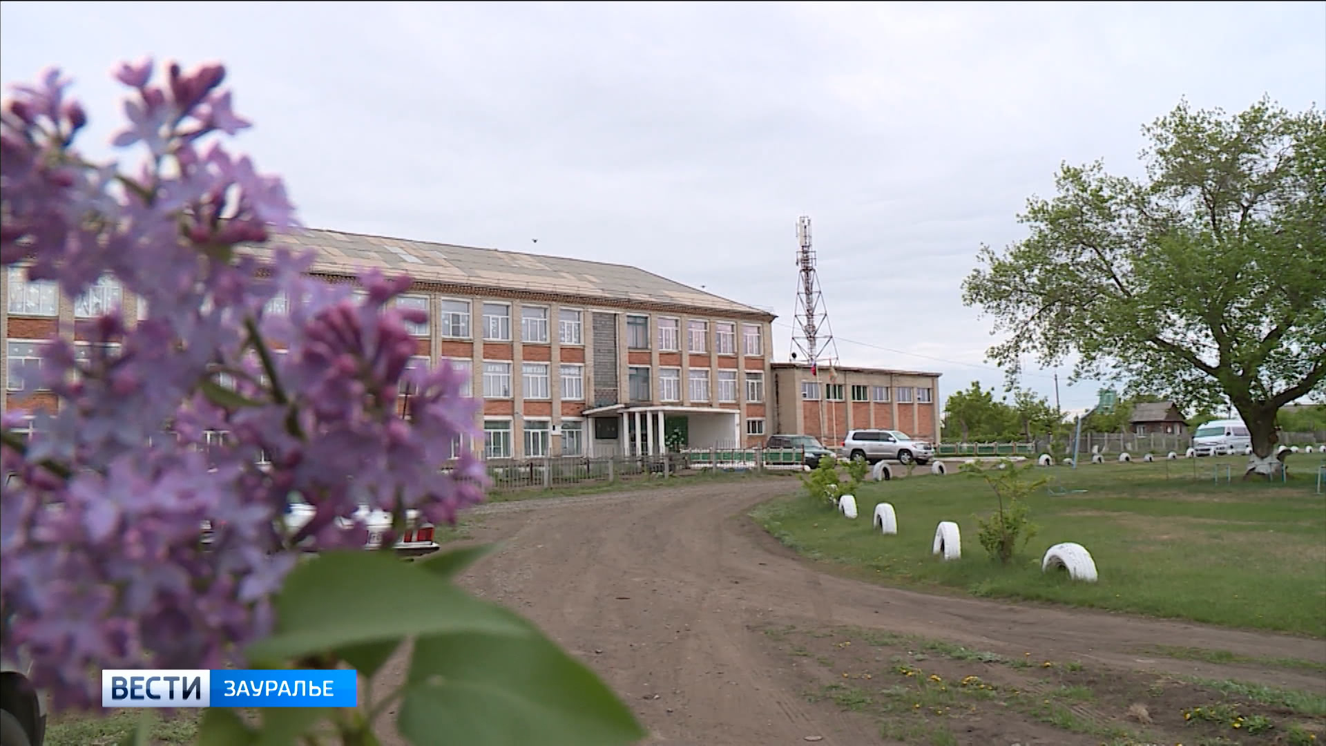 Погода в целинном районе курганской. Косолапово Курганская область Целинный район. Курганская область Целинный район село Целинное. Курганская область.Целинный район.с.Косолапово школа. Село Косолапово Целинного района.